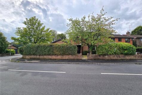 Mature Hedges