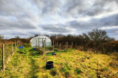 Polytunnel