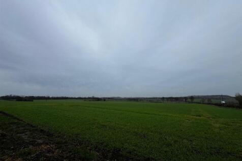 IMG_8285.jpeg