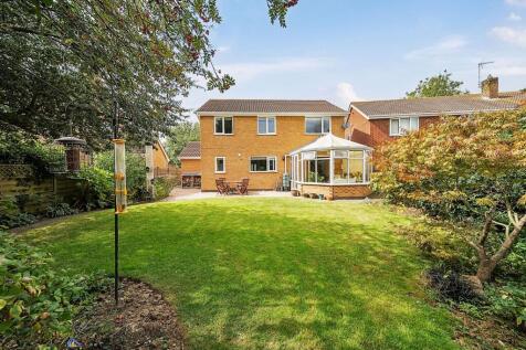 Property Image 19