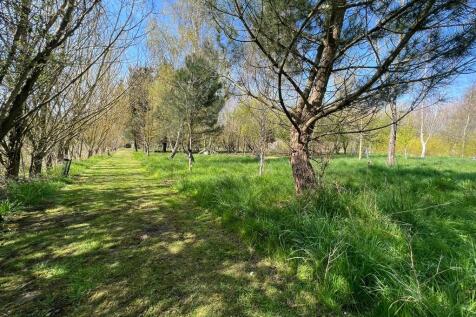 IMG-20250414-WA00...