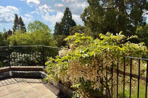 Terrace / Patio