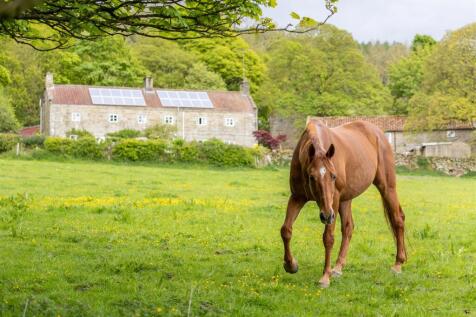 Dyke House Farm External-19.jpg