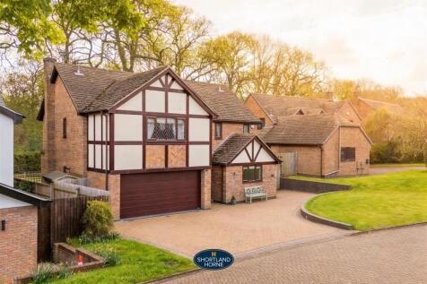 PoppyfieldCt.jpg