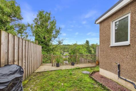 Back Garden