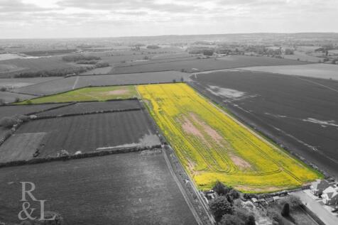 DJI_0974.jpg