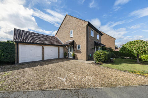 Front Aspect and Dri