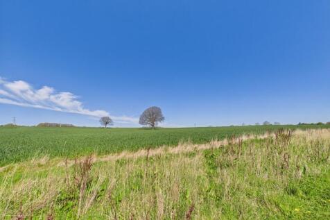 Outlook