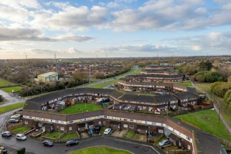 cormorant_way_4_individual_1