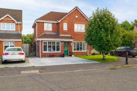 Property Image 38