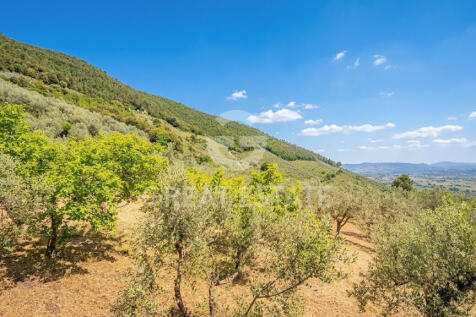 Panorama e Particolari