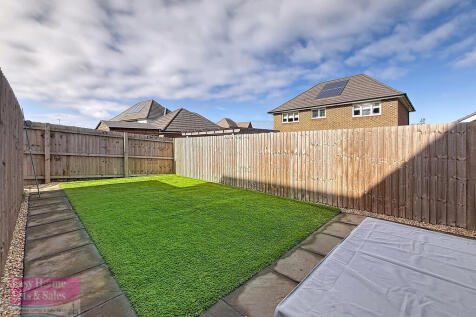 Back Garden