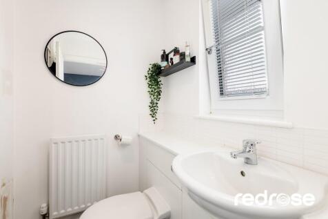 web_16 Old Thorns...