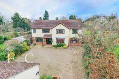 Property Image 41