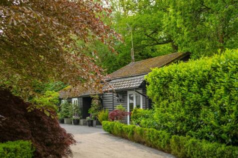 edited stable shot.jpg