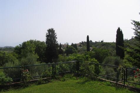 garden and view