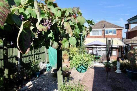 Rear Garden and House Gus Critchlow EweMove Hinckl