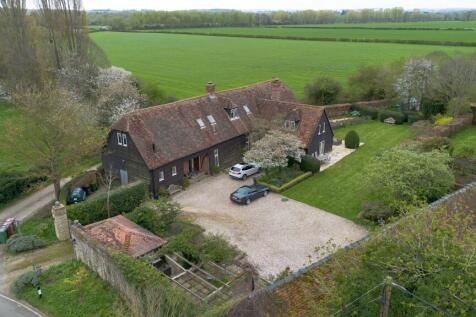 The Vineyard