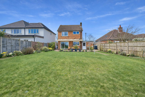 Rear garden.png