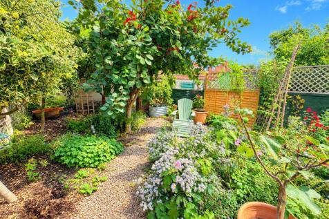garden.jpg