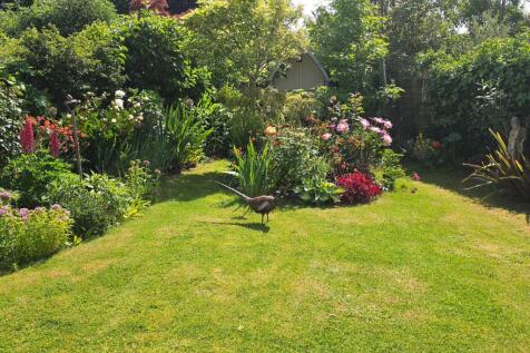 Property Image 27