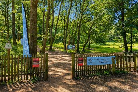 Kinver Edge
