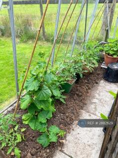 Greenhouse Interior