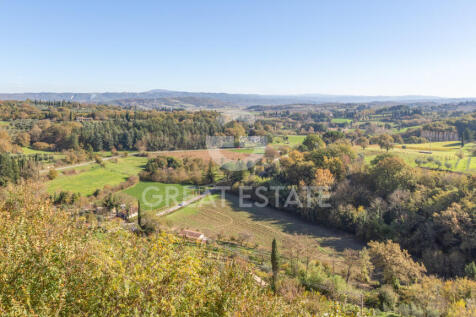 Panorama e Particolari