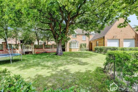 Property Image 41