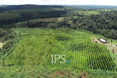 60 Ha Agricultural Land For Sale - Ou Reang District, Mondulkiri Province