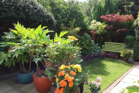 Well Stocked Rear Garden