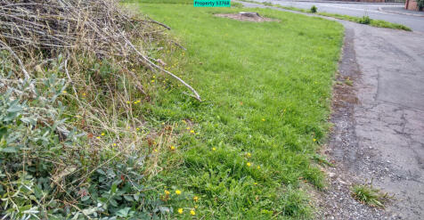 Grassland 2026
