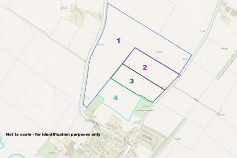 Brown Caldecott Plan edged.jpeg