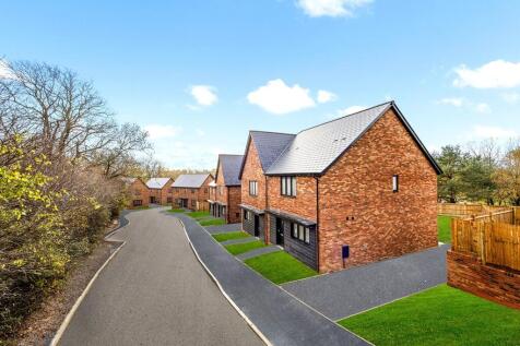 street &amp; othe...