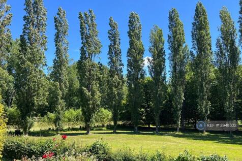 View Into The Arboretum From House