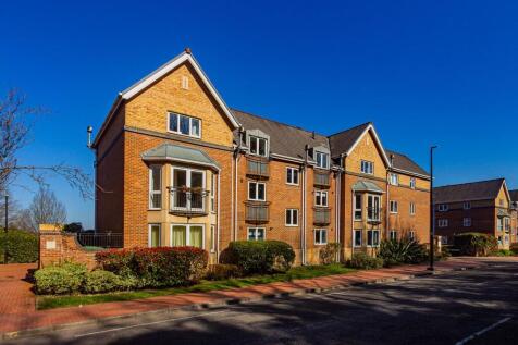 IMG-11.jpg