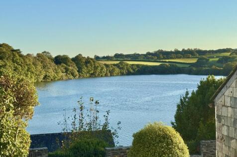 View From the Garden