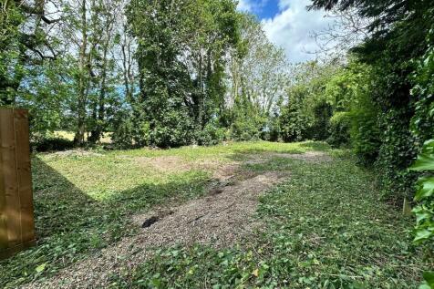 1  Medium  T202506121519.jpeg