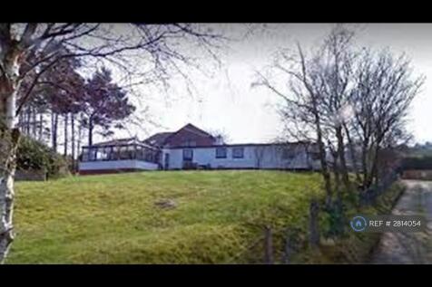 The Property