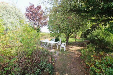 walk around the garden