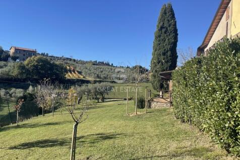 Panorama e Particolari