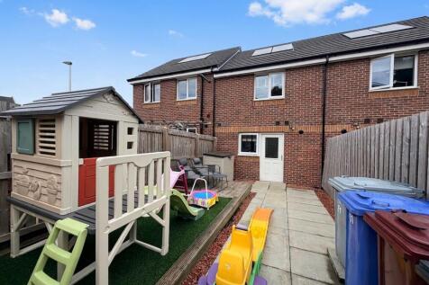 Back Garden