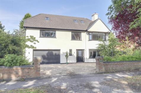 tlc_b32ea4b6-a371-464e-a111-a52c07c5616b_3e965d6.j