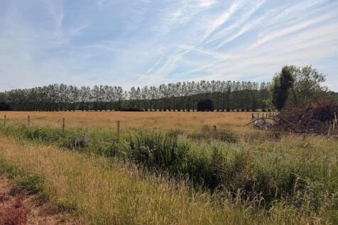 Landscape.jpeg