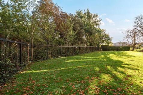Rear Gardens