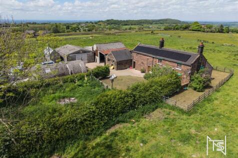Horton Hay -7.jpg