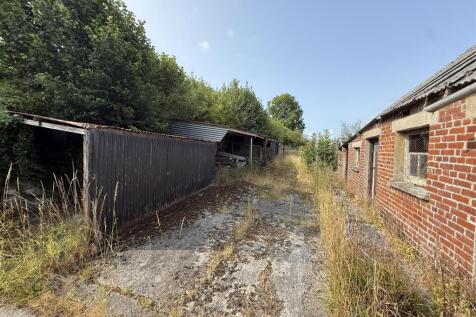 IMG_9359.jpeg