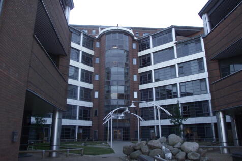 DSCF5383.JPG
