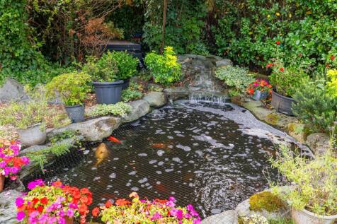 Pond