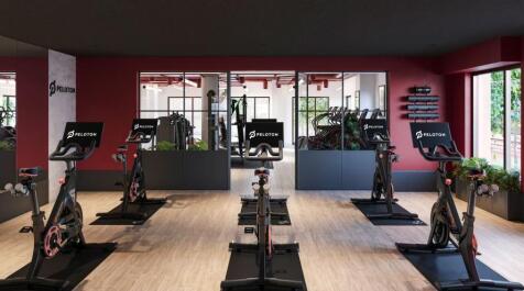 Gym Peloton .jpg
